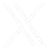 X公式
